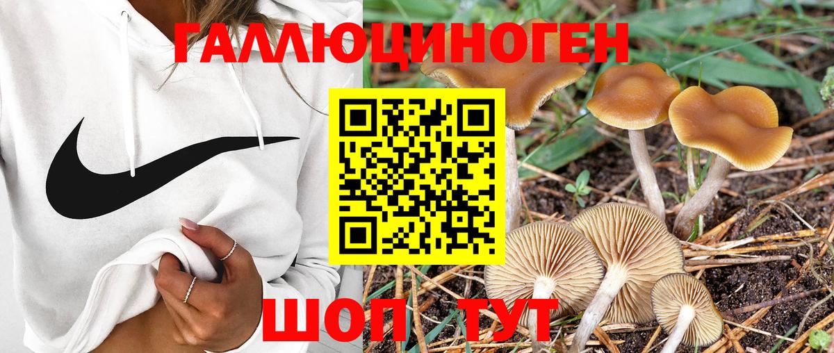 Галлюциногенные грибы ЛСД Гагарин